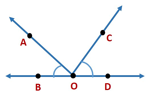 Basic Geometrical Ideas Class 6 Notes Maths Chapter 4 Free PDF