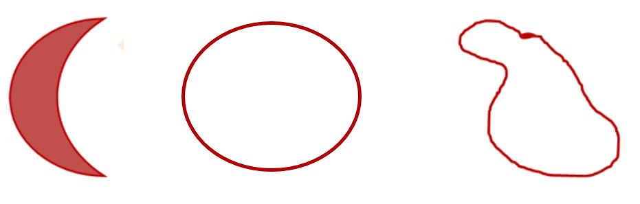 Basic Geometrical Ideas Class 6 Notes Maths Chapter 4