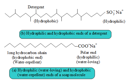 Previous Year Questions: Carbon & its Compounds - 2 | Science Class 10