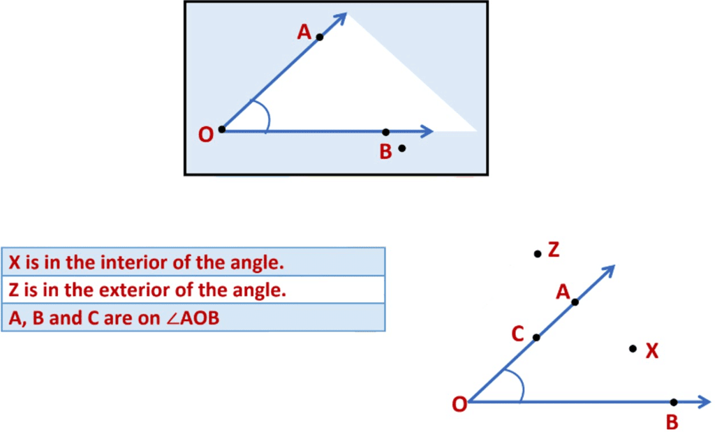 Basic Geometrical Ideas Class 6 Notes Maths Chapter 4