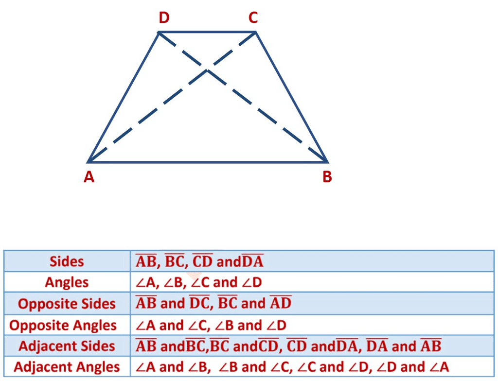 Basic Geometrical Ideas Class 6 Notes Maths Chapter 4
