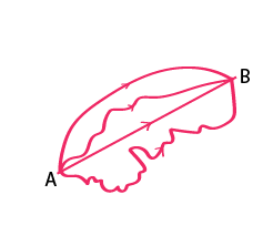 Basic Geometrical Ideas Class 6 Notes Maths Chapter 4