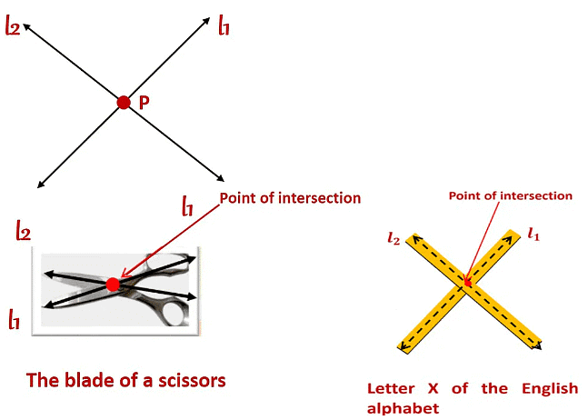 Basic Geometrical Ideas Class 6 Notes Maths Chapter 4