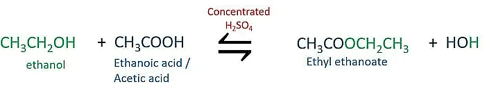 Previous Year Questions: Carbon & its Compounds - 2 | Science Class 10