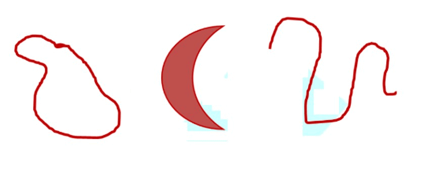 Basic Geometrical Ideas Class 6 Notes Maths Chapter 4