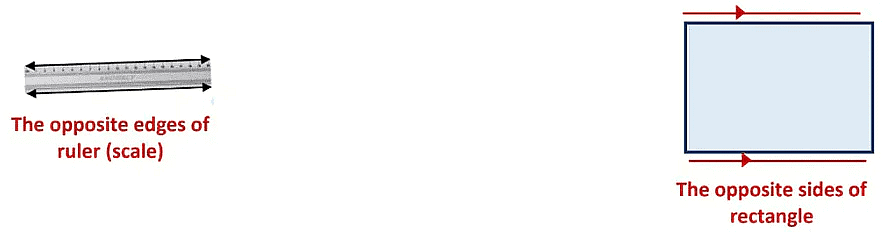 Basic Geometrical Ideas Class 6 Notes Maths Chapter 4