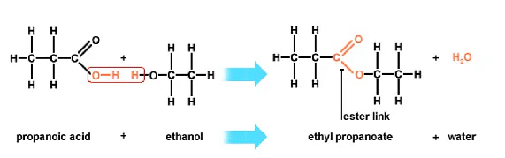 Previous Year Questions: Carbon & its Compounds - 2 | Science Class 10