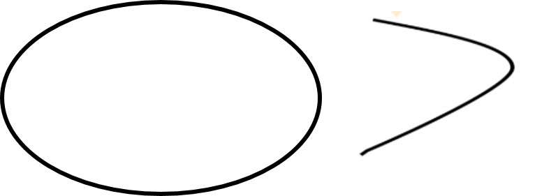 Basic Geometrical Ideas Class 6 Notes Maths Chapter 4