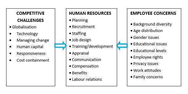 Section - III > Human Resource Management - HR Challenges(Human ...