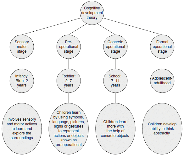 Notes: Cognitive Development Theory - Child Development And Pedagogy ...