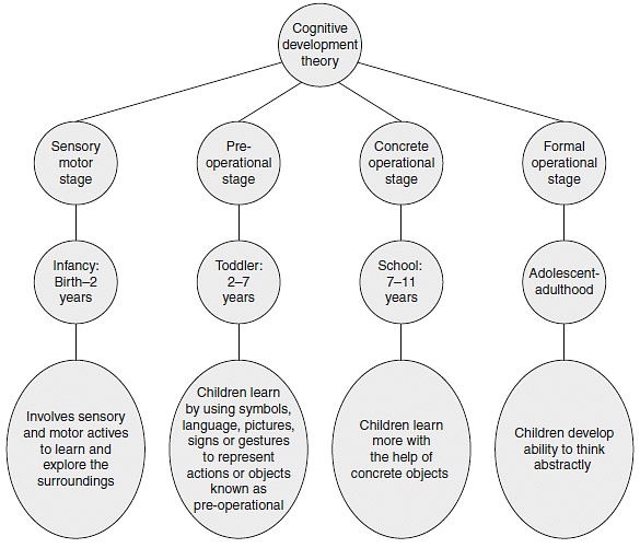 Cognitive development best sale is known as