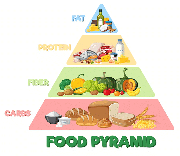 Notes: Food and Nutrition - EVS and Pedagogy Paper 1 for CTET and TET ...