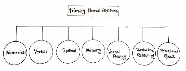 🏷️ Thurstone Intelligence Test. AP Psych Unit 5 Notes: Introduction To ...