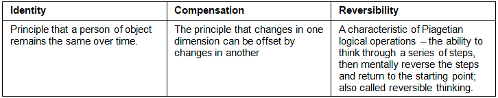 Notes Cognitive Development Theory Child Development and