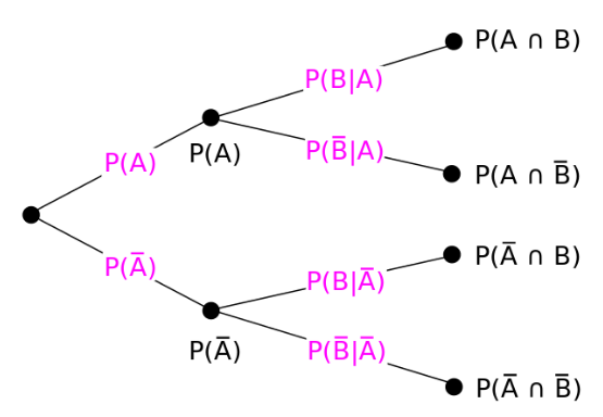 Approaches to Probability | UGC NET Commerce Preparation Course