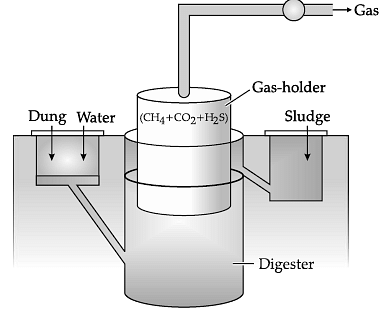 Biogas plants types