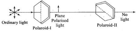 NCERT Exemplar: Wave Optics | Physics Class 12 - NEET