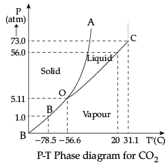 Class 11 Physics: CBSE Sample Question Papers- Term II (2021-22)- 1 | Sample Papers for Class 11 Medical and Non-Medical - JEE