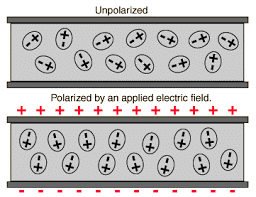 Electric Potential Energy, Dielectrics & Potential | Physics Class 12 - NEET