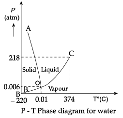 Class 11 Physics: CBSE Sample Question Papers- Term II (2021-22)- 1 | Sample Papers for Class 11 Medical and Non-Medical - JEE