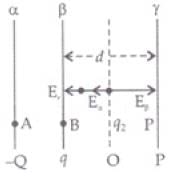 NCERT Exemplars - Electric Charges and Fields | Physics For JEE