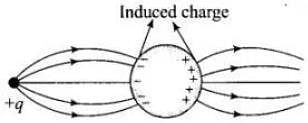 NCERT Exemplars - Electric Charges and Fields Notes | Study Physics For JEE - JEE