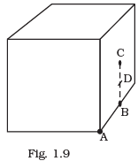 NCERT Exemplars - Electric Charges and Fields | Physics For JEE