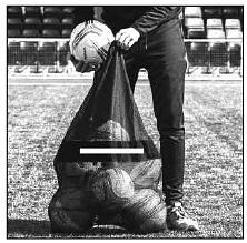 Class 12 Mathematics: CBSE Sample Question Paper- Term II (2021-22)- 5 | Sample Papers for Class 12 Medical and Non-Medical