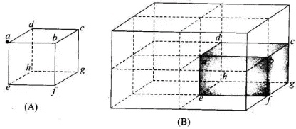 NCERT Exemplars - Electric Charges and Fields | Physics For JEE