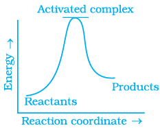 NCERT Exemplar: Chemical Kinetics | Chemistry Class 12 - NEET