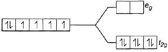NCERT Exemplar: Coordination Compounds | Chemistry Class 12 - NEET