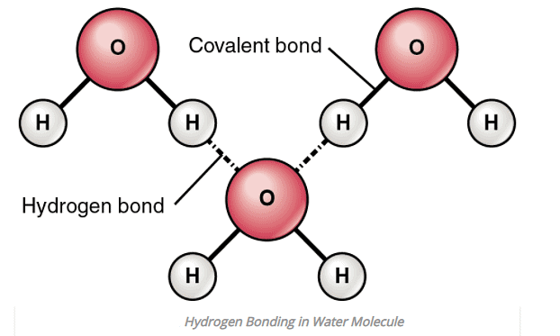 Hydrogen Bonding - Notes | Study Chemistry Class 11 - NEET