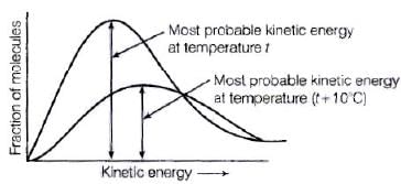 NCERT Exemplar: Chemical Kinetics | Chemistry Class 12 - NEET