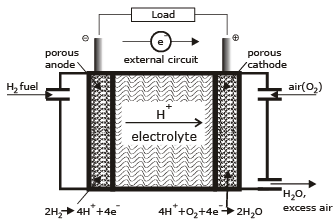 Fuel Cells and Corrosion - Physical Chemistry for NEET PDF Download