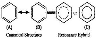 NCERT Exemplar: Some Basic Principles & Techniques Notes | Study Chemistry for JEE - JEE