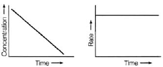 NCERT Exemplar: Chemical Kinetics | Chemistry Class 12 - NEET