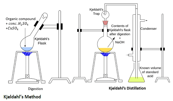 Estimation of Nitrogen by Kjeldahl Method