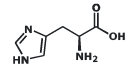 Amino Acids & Their Classification | Chemistry Class 12 - NEET