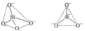 Group 14 (Carbon Family) Notes | Study Chemistry Class 11 - NEET