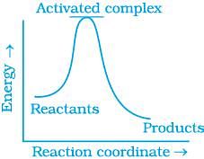 NCERT Exemplar: Chemical Kinetics Notes | Study NCERT Exemplar & Revision Notes for JEE - JEE