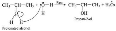 NCERT Exemplar: Alcohols, Phenols & Ethers | Chemistry Class 12 - NEET