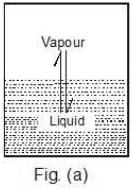 Vapour Pressure, Raoult`s Law, Ideal & Non Ideal Solutions | Physical Chemistry for NEET