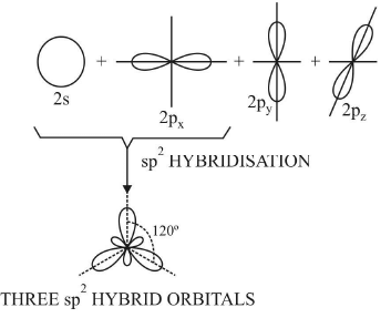 Hybridisation - Physical Chemistry for NEET PDF Download