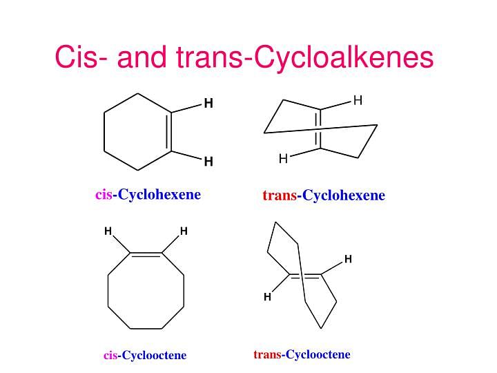 Examples of Cis-Trans Cycloalkenes