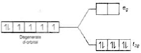 NCERT Exemplar: Coordination Compounds | Chemistry Class 12 - NEET