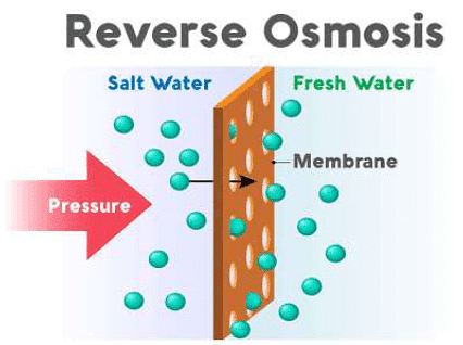 Reverse Osmosis & Water Purification Notes | Study Additional Documents and Tests for JEE - JEE