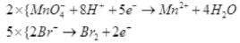 NCERT Exemplar: Redox Reactions | Chemistry Class 11 - NEET