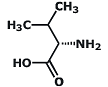 Amino Acids & Their Classification | Chemistry Class 12 - NEET