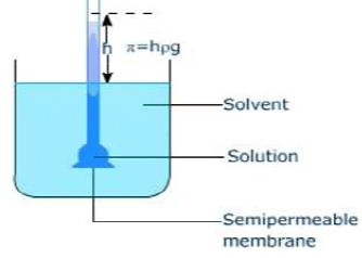 Osmosis, Osmotic Pressure & Van’t Hoff Factor | Chemistry Class 12 - NEET
