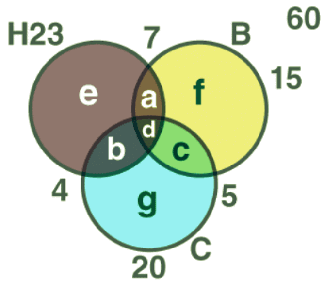 Important Questions: Sets | Mathematics (Maths) Class 11 - Commerce